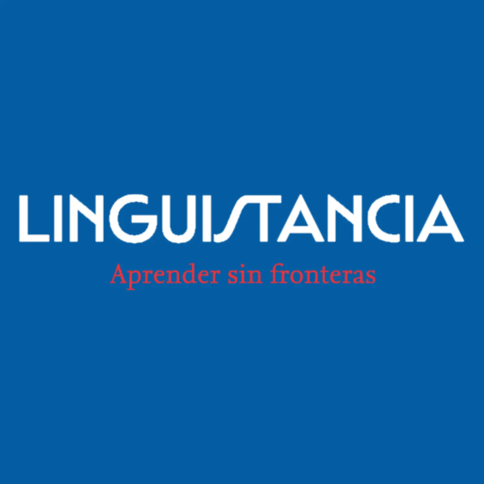 Social Media Management - Linguistancia